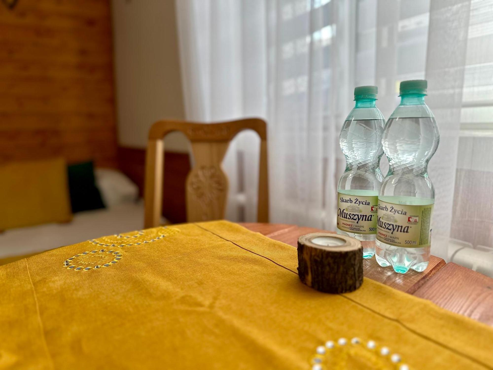 Apartamento Gorska Ostoja Muszyna Exterior foto